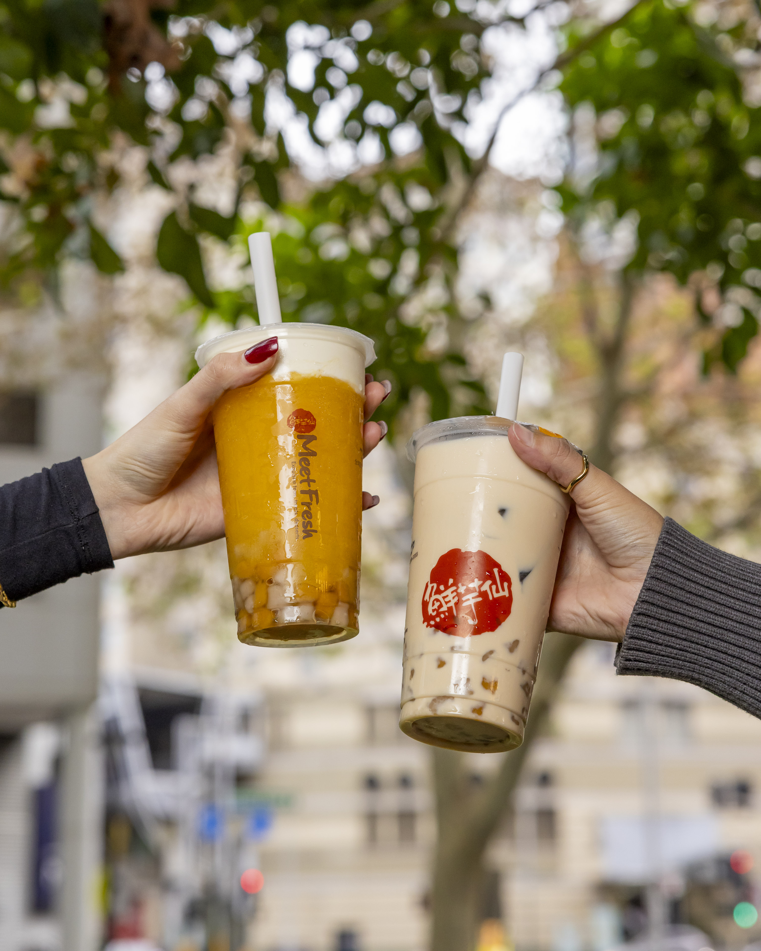 20250429_CPM_Meet Fresh_Katje Ford-298.jpg